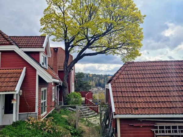 Trepleie og tilstandsvurdering av tre, MR Trefelling