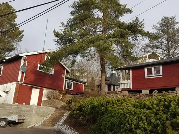 Ryddig tomt etter trefelling og opprydding, MR Trefelling