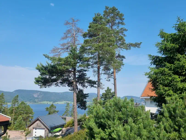 Trepleie og kronebeskjæring, MR Trefelling